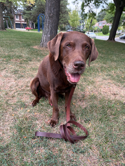 Canadian Made Dog Leash:  6  foot by  3/4 width   or     6 foot by  1 inch width