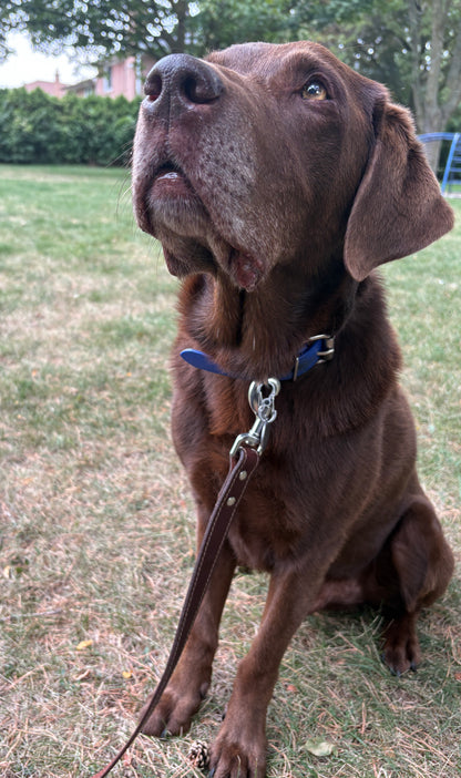 Canadian Made Dog Leash:  6  foot by  3/4 width   or     6 foot by  1 inch width