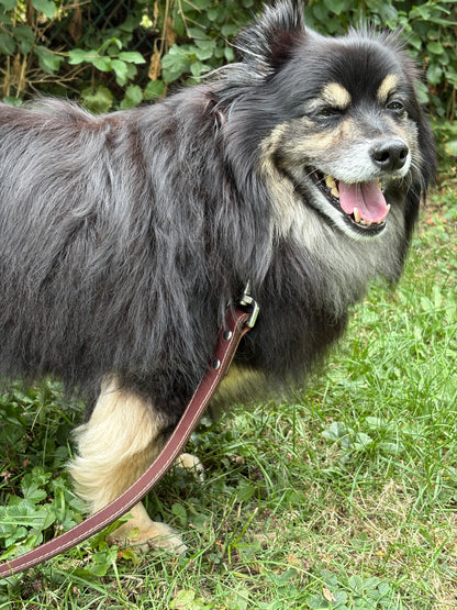 Canadian Made Dog Leash:  6  foot by  3/4 width   or     6 foot by  1 inch width