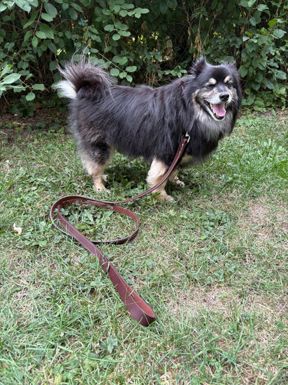 Canadian Made Dog Leash:  6  foot by  3/4 width   or     6 foot by  1 inch width