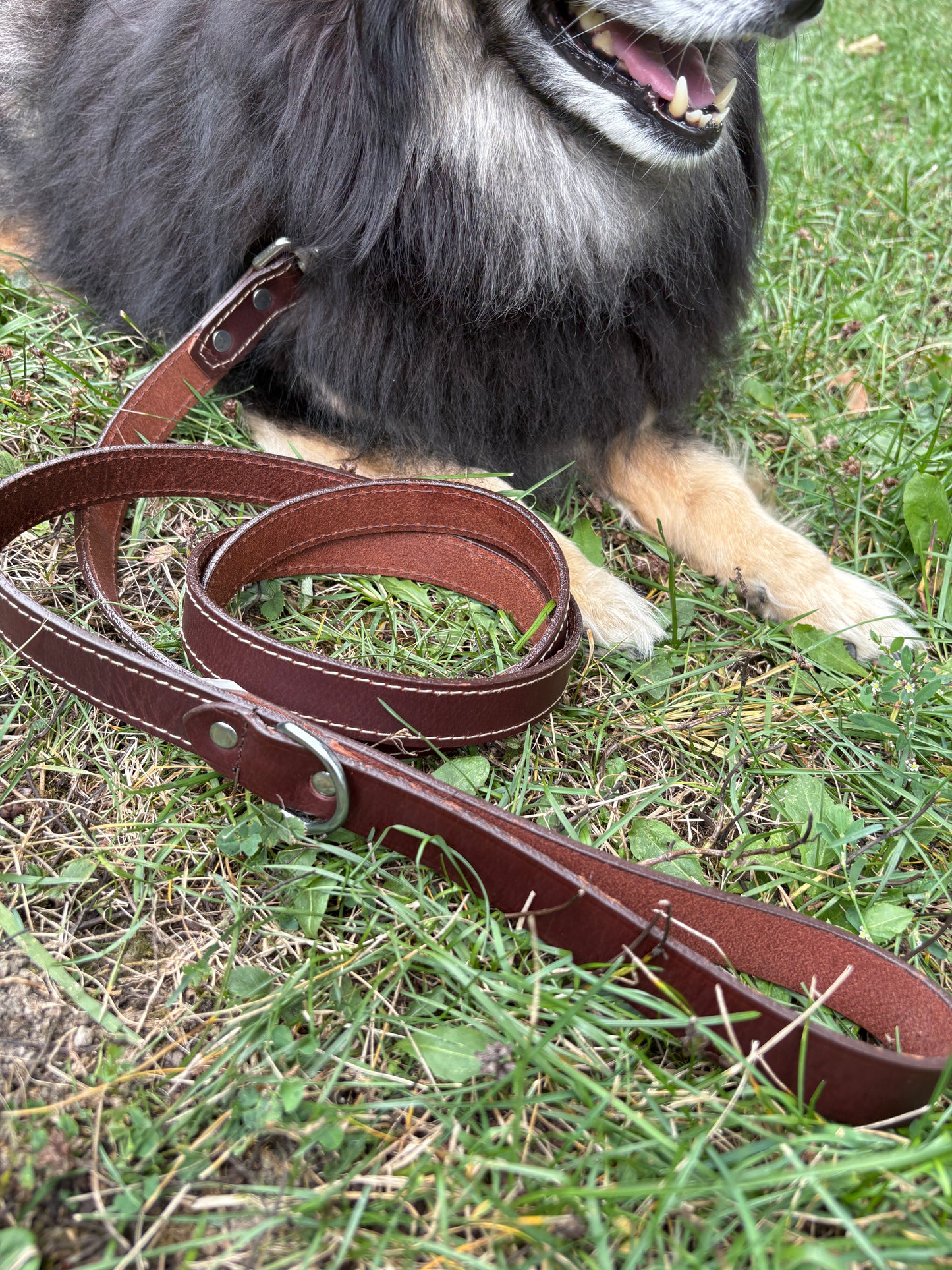 Canadian Made Dog Leash:  6  foot by  3/4 width   or     6 foot by  1 inch width